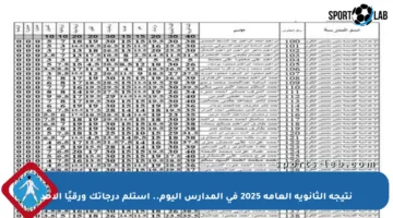 نتيجة الثانوية العامة 2025 في المدارس اليوم.. استلم درجاتك ورقيًا الأحد